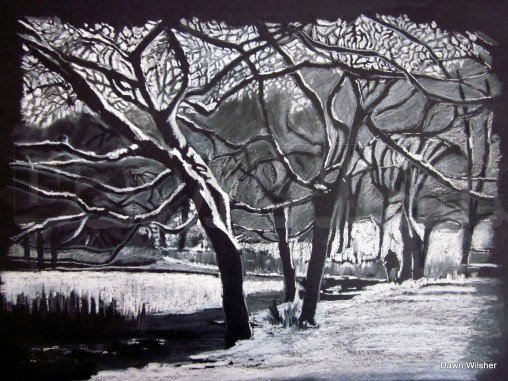 IMG_wollatoninthesnow.jpg