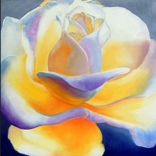 Meditation on a Rose