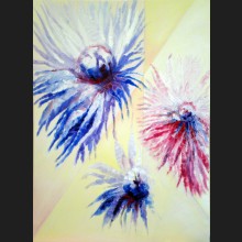 Chrysanthamams