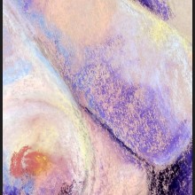 Breasts