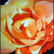 Meditation on a Rose I